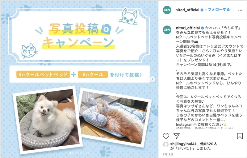 事例 ペットショップのinstagram投稿 ビジネスプロフィールの設定方法も解説 口コミラボ 事例 ペットショップのinstagram投稿 ビジネスプロフィールの設定方法も解説 口コミラボ