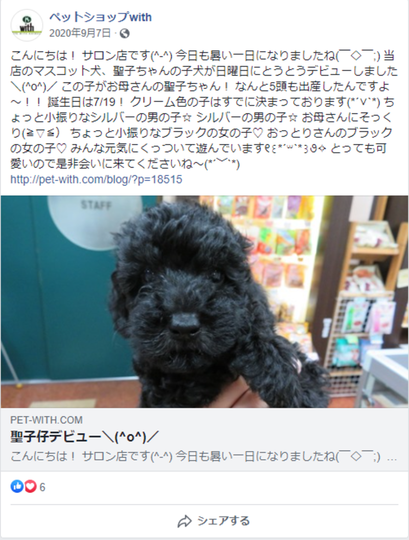 ▲ペットショップwithのFacebook投稿:編集部スクリーンショット ▲ペットショップwithのFacebook投稿