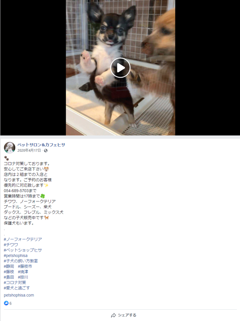 ▲ペットサロン&カフェヒサのFacebook投稿:編集部スクリーンショット ▲ペットサロン&カフェヒサのFacebook投稿