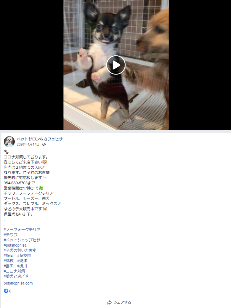 ▲ペットサロン＆カフェヒサのFacebook投稿