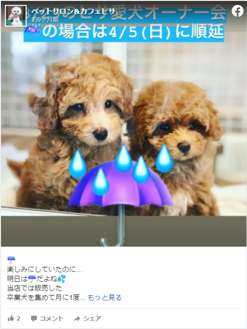 ▲ペットサロン&カフェヒサのFacebook投稿:編集部スクリーンショット ▲ペットサロン&カフェヒサのFacebook投稿