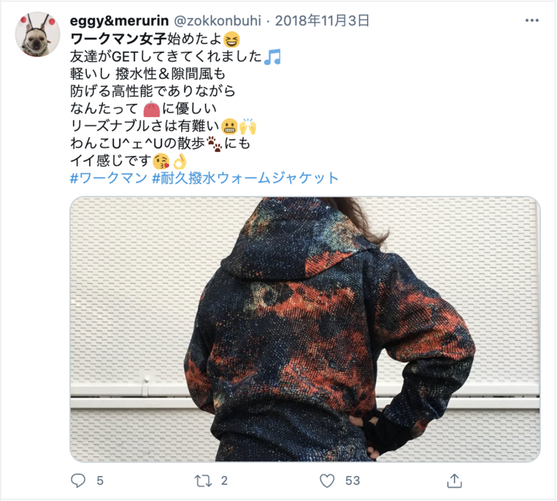 Twitter ワークマン女子