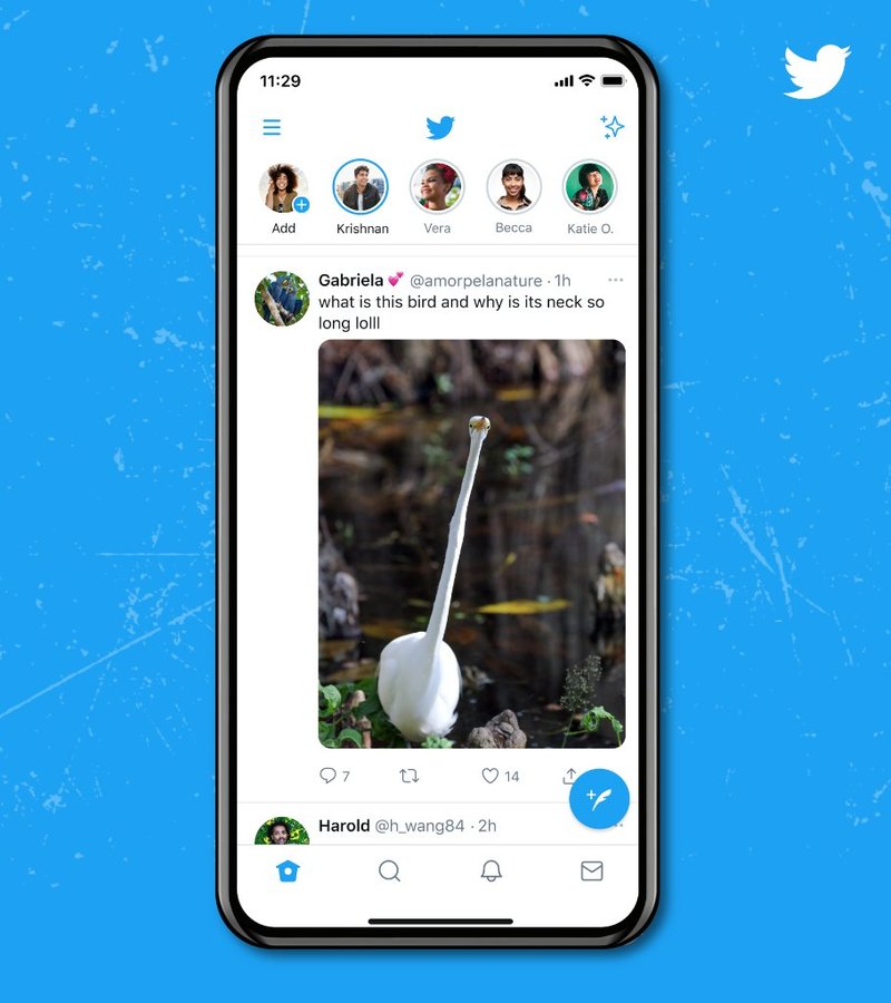▲タイムラインに投稿される画像の縦長表示:TwitterのTwitter投稿より タイムラインに投稿される画像の縦長表示