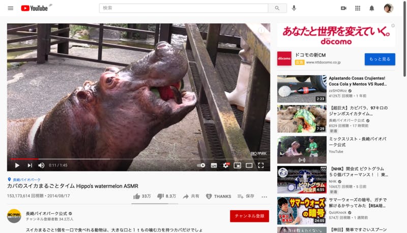  カバがスイカを食べる動画長崎バイオパーク公式チャンネル