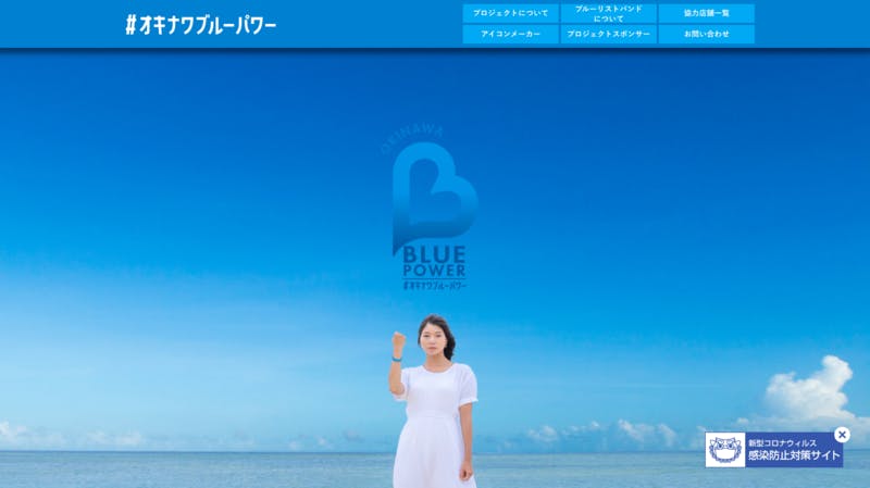 オキナワブルーパワーの公式サイト