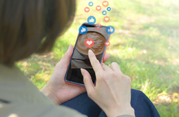 FacebookとInstagramを連携｜ビジネスアカウントとリンク・メリットは広告・解除の方法を解説