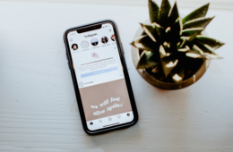 【事例】ペットショップのInstagram投稿／ビジネスプロフィールの設定方法も解説