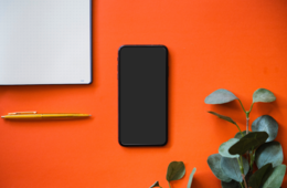 Googleマイビジネスでビジネス名を登録・変更する方法／3つの注意点も解説