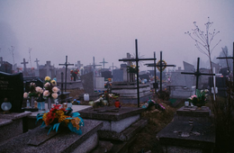 冠婚葬祭施設がGoogle マイビジネスを活用するメリット、成功・失敗事例をそれぞれ紹介