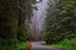 Googleマップに道路を登録する方法はある？店舗までの道が表示されないときの対処法を紹介