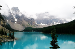 観光DXとは？その可能性や実装する上で考えるべきポイント