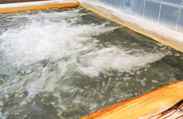 スーパー銭湯をトリップアドバイザーに掲載するメリットは？工夫のポイントを解説