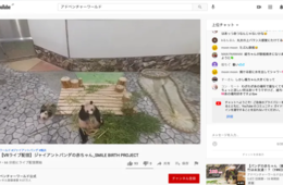 コロナ禍の「癒やし需要」で動物園のSNS・ライブ配信が人気に　事例3選