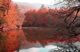 観光事業者、7割「夏よりも客増加」それでもコロナ前水準まだ遠く／日本経済新聞調査