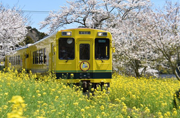 県境をまたぐ旅行も割引対象に 4月1日より「県民割」の地域が拡大